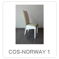 COS-NORWAY 1